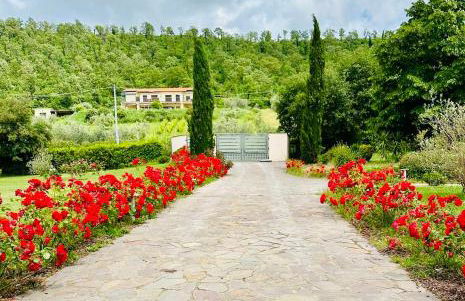 Luxury Apartment Lake View - Foto 6