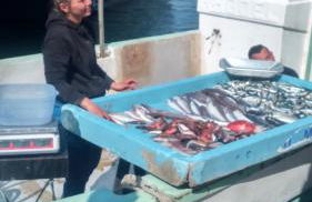 PETIT BONHEUR Au COEUR DU VIEUX PORT - Foto 23