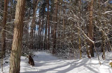 Garten Eden - Foto 19