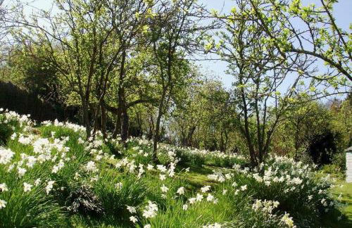 Thornwell Cottage - Heart of the village, amazing gardens, glorious views and brimming with character - Foto 19