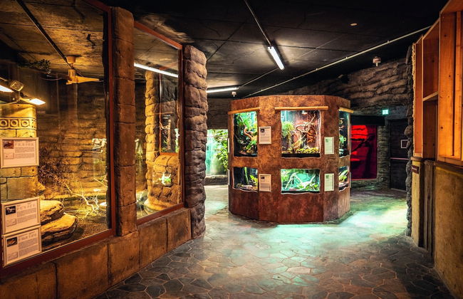 Appartements im Freizeitpark Weissenhauser Strand - Foto 19