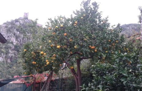 casa monte maggio - Foto 13