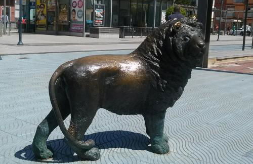 Apartamentos Turisticos Las Yucas - Photo 68