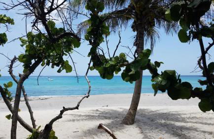 PoshPadz Pool Villa, Hot Tub, Near Beach, Sleeps 6 - Photo 28