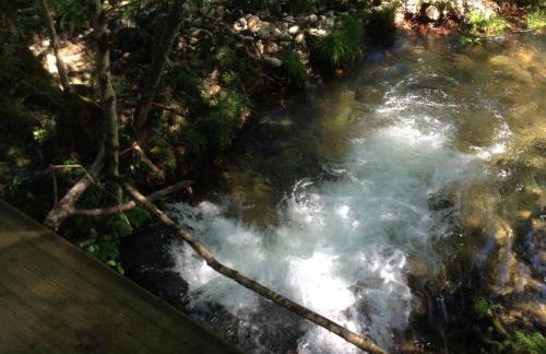 Casa do Avô - Foto 71