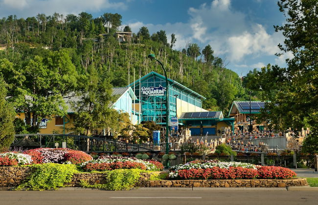 Bearly Gnomey - Foto 20