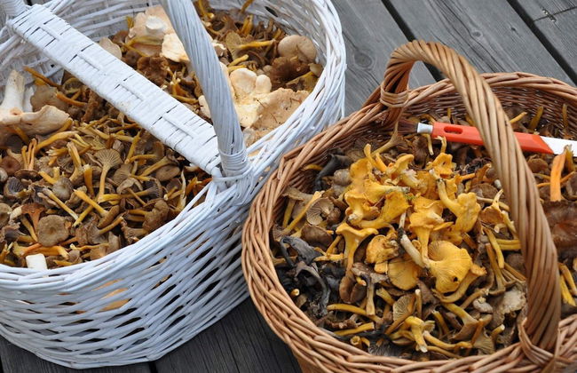 7 Person Holiday Home in Oviken-by Traum - Foto 11