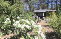 Ferienhaus Wald und Seeidylle, nahe Badesee, Spreewald, Berlin - Foto 1