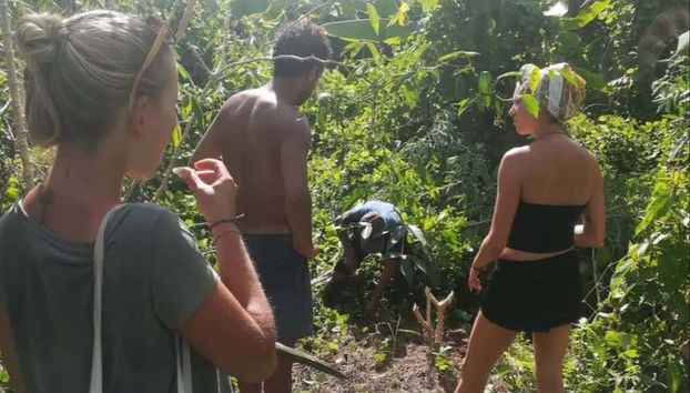 Traditional Amazonian Cooking Workshop - Photo 2, Finding the best ingredients
