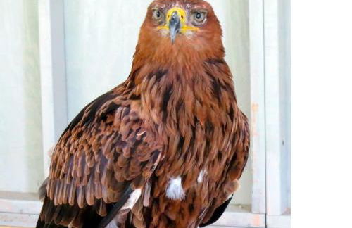 Historic Renovated Barn at Boorn Brook Farm - Manchester Vermont - Photo 18