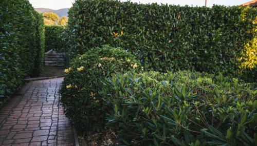 Le Cerqueta - Foto 5, Garden, Garden view