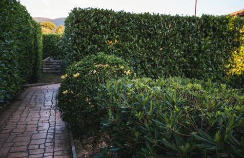 Le Cerqueta - Foto 5