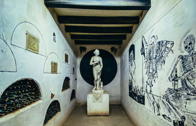 Tour do pisco pelo Alto Elqui - Foto 10