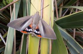 Au coeur des collines gersoise. Cottage confort - Photo 16