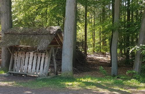 4 Sterne Ferienhaus "Vorwerk" - Foto 36