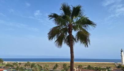 Sun&Ocean - Foto 3