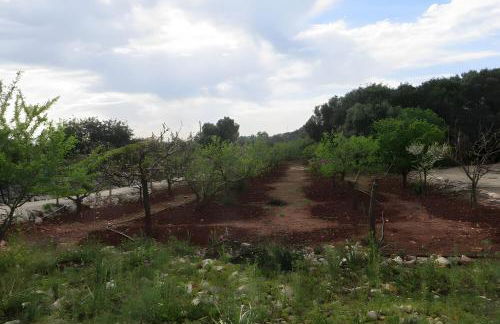 Quinta Magnólia - Foto 29