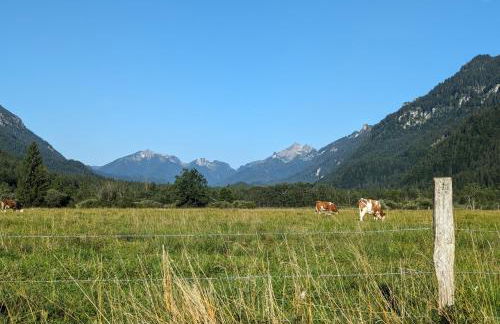 Zur alten Schmiede - Foto 22