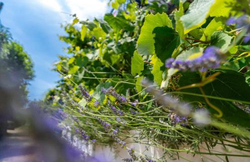 Casa Porozina - Cozy Apartments & Rooms - Paradise Beach 300m - Foto 80