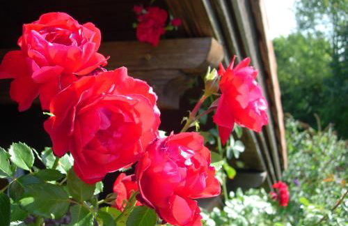 Idyll in Ammerseenähe mit Blick ins Grüne - Foto 23