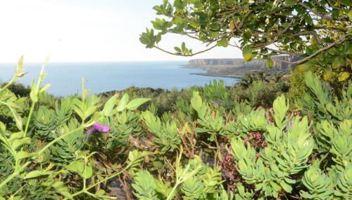 Appartamento Casa Magnolia - Foto 2