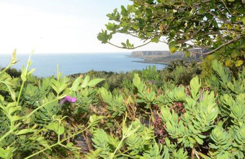 Appartamento Casa Magnolia - Foto 2