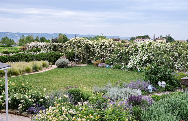 Il Fienile di Assisi - Foto 72