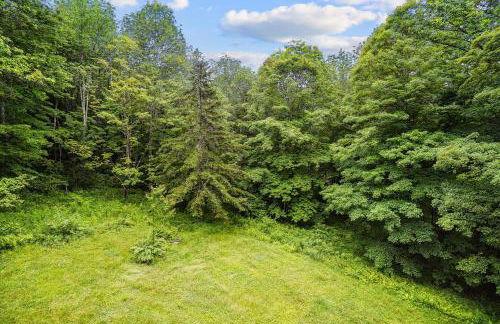 Perfect secluded 3 bedroom cozy getaway home Hawk Landing - Foto 53