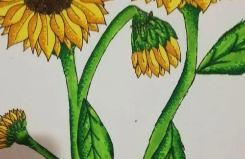 Charming house in Chatún with private pool - Foto 26