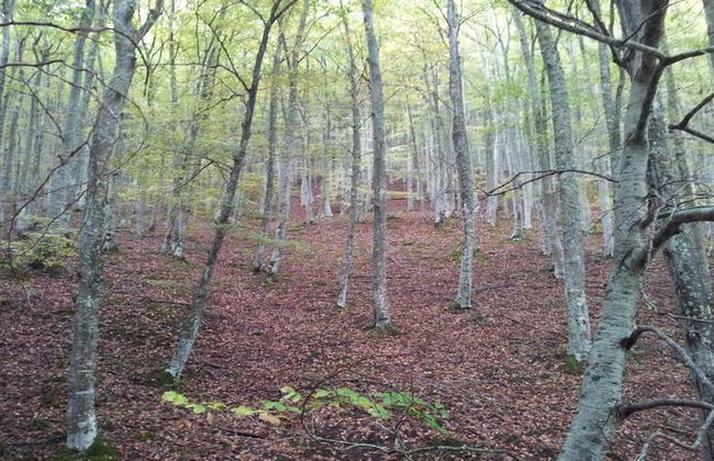 Real Valle Ezcaray - Foto 18