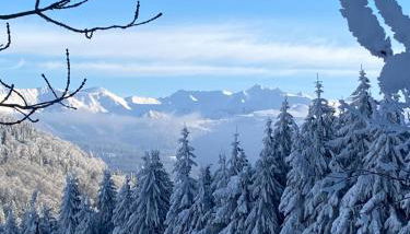 Grand appartement hyper centre haut standing - Foto 2