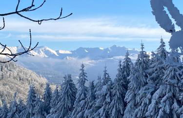 Grand appartement hyper centre haut standing - Foto 2