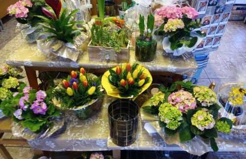 Sterne-Anlage HOF NIEMEYER Steinhuder Meer - Foto 45