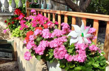 Charmant appart avec jardin - Foto 15