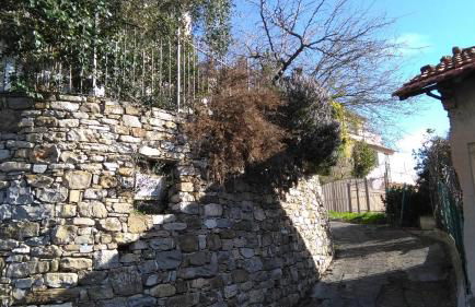 Alloggio Basilico - Foto 10