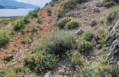 Izzi Mobile Home - Terra Park SpiritoS - Photo 52