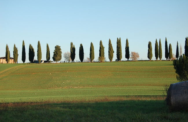 Agriturismo Kebio - Photo 25