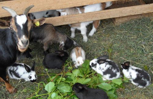 Rasöller Hof - Foto 12