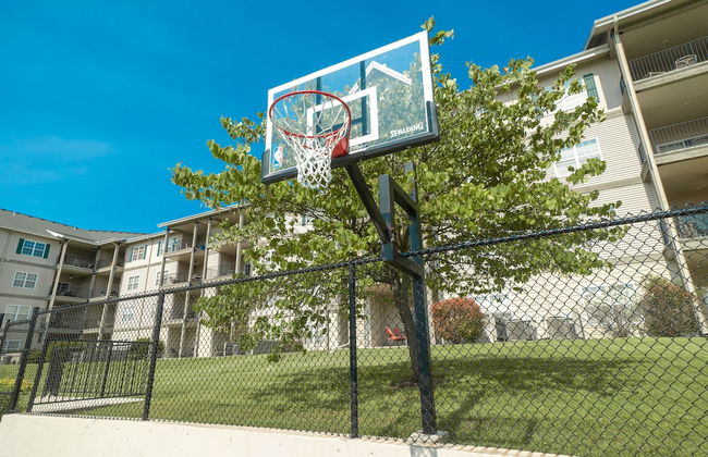 Cabins at Grand Mountain - Foto 43