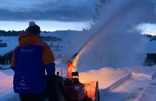APPARTEMENT PLEIN SUD AUX SAISIES n3 - Foto 22