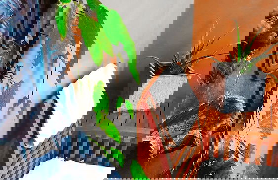 La Isabela Suites - Photo 37