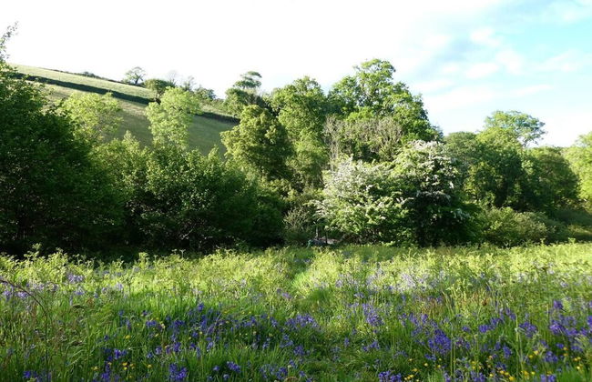 Roundhouse Yurt, Stunning Views, Totnes Dartmouth - Foto 21