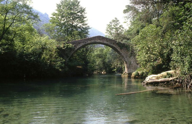 La Chesnaie - Foto 27