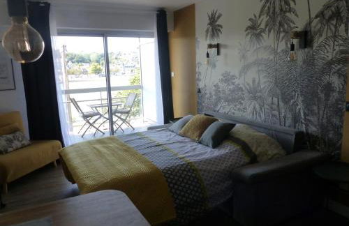 studio exposé plein sud vu sur le port de plaisance - Foto 12