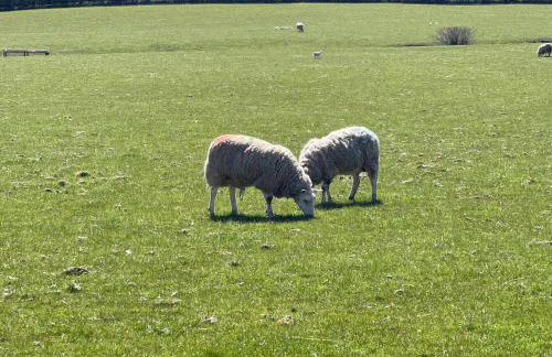 Penny Black Cottage - Photo 17