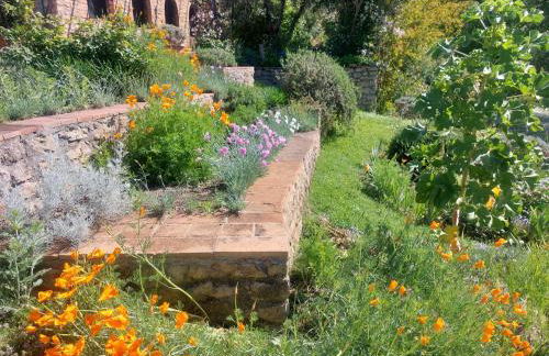 PERGOLA at Le Pietraie a cottage with many flowers - Foto 28