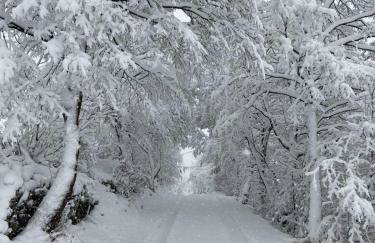Holiday House - Hidden in Velebit - Foto 41