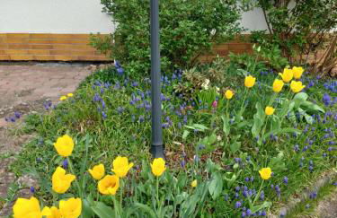 Sonnenhang - Foto 24