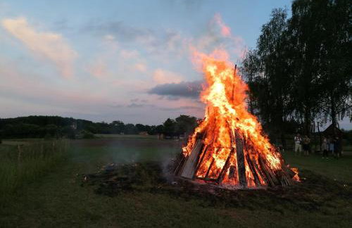 Apfelbluete und Paradies - Foto 26