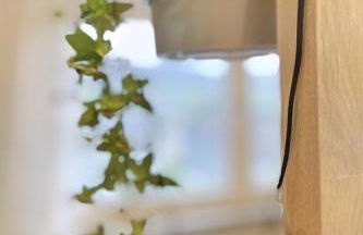 Ruhiges Naturparadies für 4 mit Küche Schreibtisch und Boxbett - Foto 15